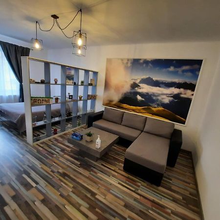 Croma Studio Petrosani Apartment Luaran gambar