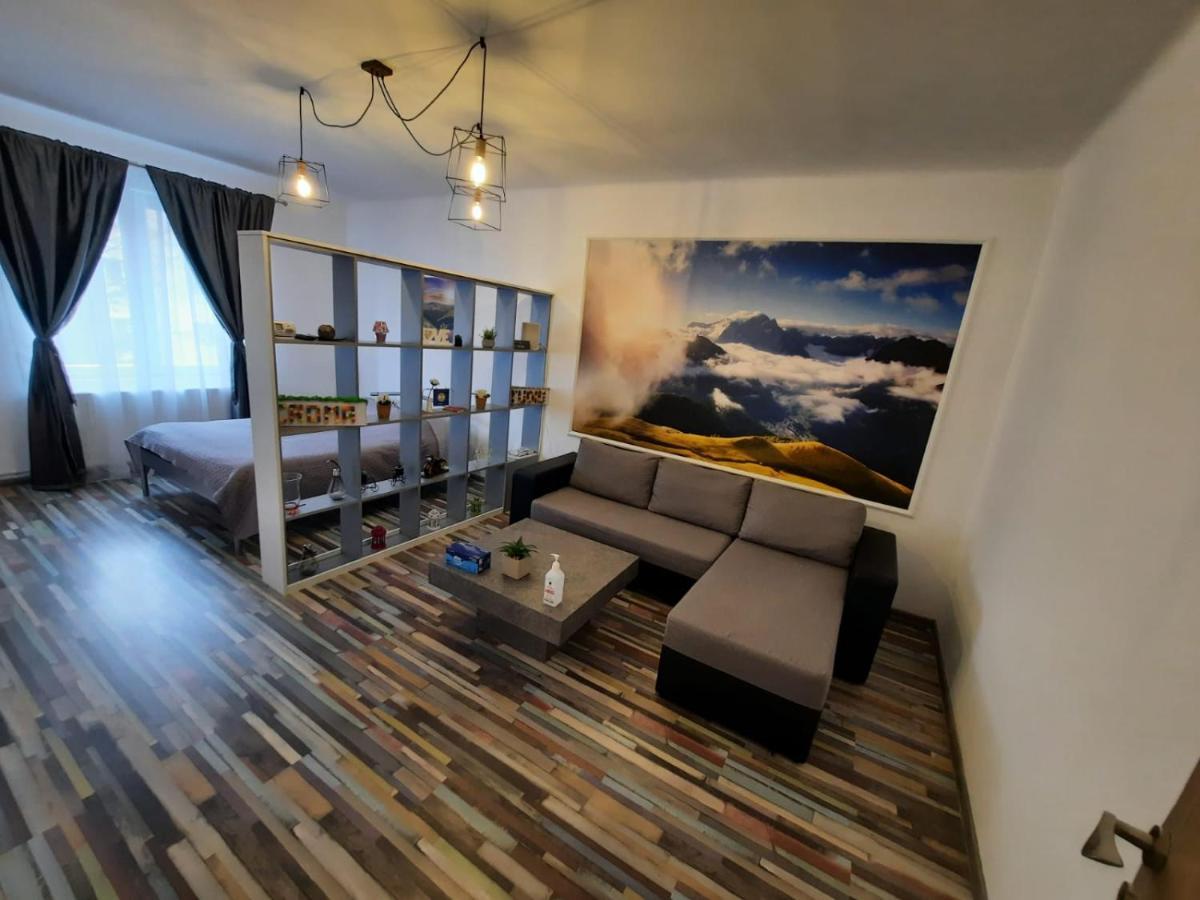 Croma Studio Petrosani Apartment Luaran gambar