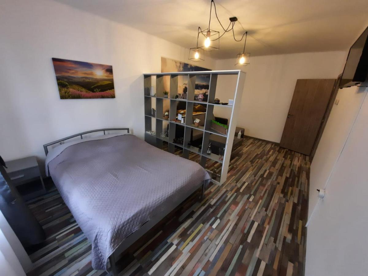 Croma Studio Petrosani Apartment Luaran gambar