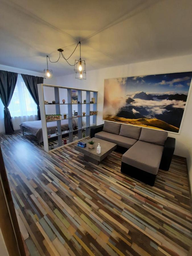Croma Studio Petrosani Apartment Luaran gambar