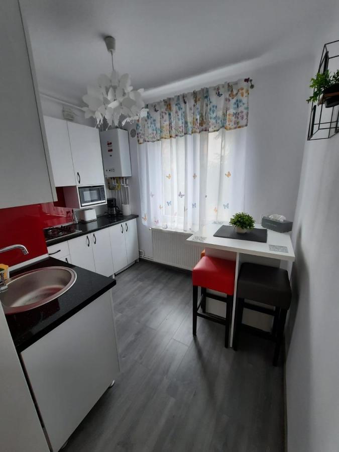 Croma Studio Petrosani Apartment Luaran gambar